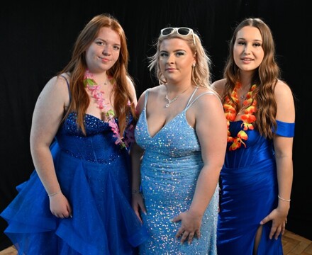 ROYDS064   Copy