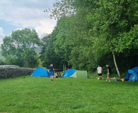 3410BDB4 CB4F 4810 B5AB 2D09A558A98C